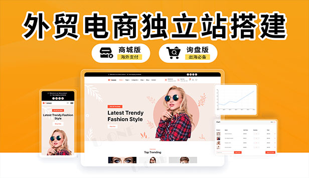 外贸电商独立站搭建